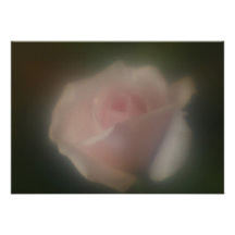 Invitación color de rosa rosada hermosa