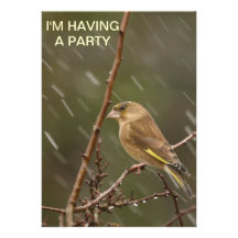 Invitación de Greenfinch