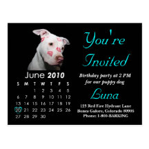 Invitación de la fiesta de cumpleaños 2010, invita tarjetas postales