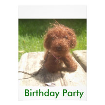 Invitación de la fiesta de cumpleaños con el perri