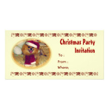 Invitación de la fiesta de Navidad de Pomeranian S Tarjeta Personal Con Foto