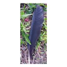 Invitación de la pluma de los cuervos
