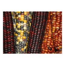 Invitación de la variedad del maíz indio