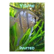 Invitación de los pescados del ángel