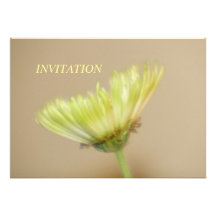 INVITACIÓN del crisantemo