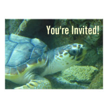 Invitación del cumpleaños de la tortuga de mar
