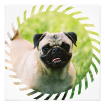 Invitación del perrito del barro amasado