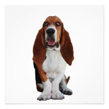 Invitación del perro de Basset Hound