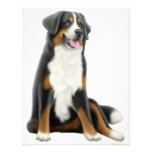 Invitación del perro de montaña de Bernese