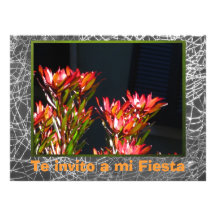 Invitación - fiesta - naranjas de Flores