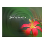 Invitación floral roja del espejismo tarjetas postales