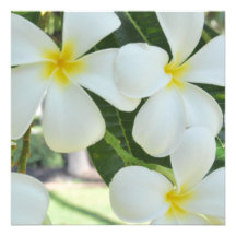Invitación hawaiana del boda del Plumeria