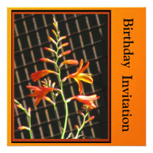 Invitación - invitación del cumpleaños - flores an