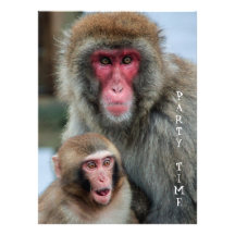 Invitación japonesa de los monos de Macaque