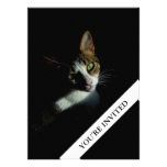 Invitación llana simple del gato hermoso