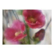 Invitación rosada de los Hollyhocks