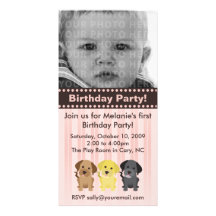 Invitación rosada del cumpleaños de Thee Labradors Tarjetas Personales Con Fotos