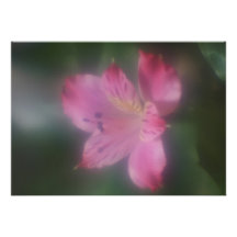 Invitación suave de la flor de la lente del foco