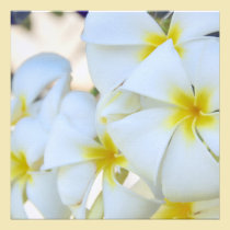 Invitación tropical de la cascada del Plumeria invitaciones