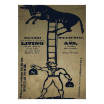 Invitaciones de equilibrio de la vida de un ~ del  comunicado personal  