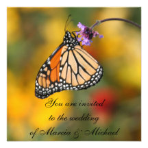 Invitaciones de la mariposa de monarca comunicados