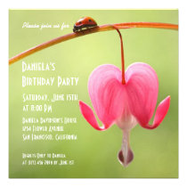 Invitaciones de la mariquita invitaciones