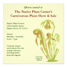 Invitaciones de la planta carnívora comunicados personales 