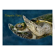 Invitaciones del fiesta de sorpresa de la tortuga  tarjeta