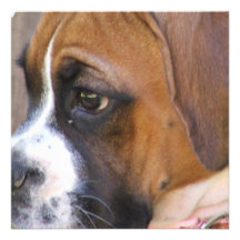 Invitaciones del perro de perrito del boxeador invitacion personalizada