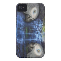 iPhone4 caso - loros del gris africano Case-Mate iPhone 4 Funda