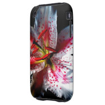iPhone 3g de Lilly del tigre Tough iPhone 3 Protectores