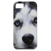 iPhone 5 C de la plantilla del ambiente QPC del ip iPhone 5 Funda