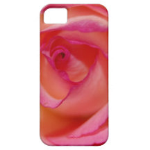 iPhone color de rosa 5 de la casamata iPhone 5 Protector