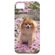 iPhone de la tarjeta de ID/Credit 5 flores rosadas iPhone 5 Funda