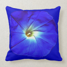 ipomoea almohada