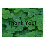 ¡ireland_102_bg_061602, gracias! felicitación