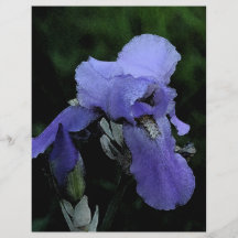 Iris azul pintado tarjetas informativas