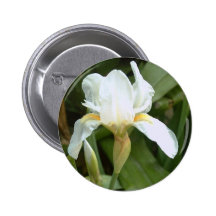 Iris blanco 4 pin