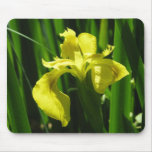 Iris de la bandera amarilla tapete de raton