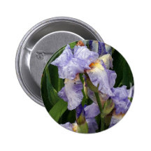 Iris de Tennessee Pin