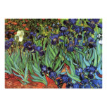 Iris de Van Gogh, arte del impresionismo del poste Comunicados