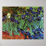 Iris de Van Gogh, arte del impresionismo del poste Poster