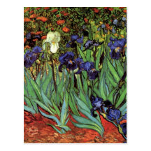 Iris de Van Gogh, arte del impresionismo del poste Tarjeta Postal