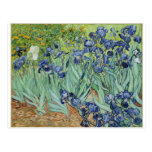 Iris de Van Gogh Tarjetas Postales