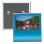 Iris del personalizable del campo pins
