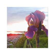 Iris en la puesta del sol II Lienzo Envuelto Para Galerias