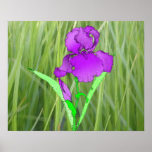 Iris Impresiones