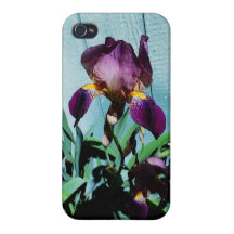 Iris iPhone 4 Carcasa