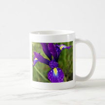 iris.jpg taza