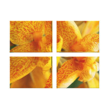 Iris manchado amarillo impresiones en lienzo estiradas